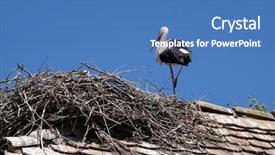  Presentation with june - Presentation theme consisting of croatia on june 18 2016 background and a teal colored foreground