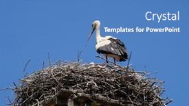  Presentation with croatia - 