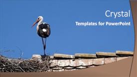  Presentation with croatia - 