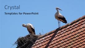  Presentation with croatia - 