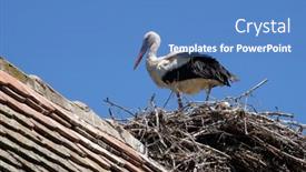  Presentation with croatia - 