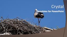  Presentation with croatia - 