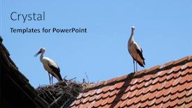  Presentation with croatia - 