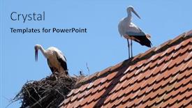  Presentation with croatia - 