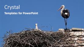  Presentation with croatia - 