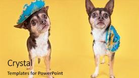  Presentation with two cute sisters playing - Presentation enhanced with an isolated yellow background background and a yellow colored foreground