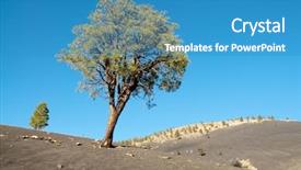  Presentation with pine cone - Audience pleasing PPT layouts consisting of cinder cone pine trees backdrop and a  colored foreground