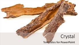  Presentation with cinnamon - Slide set with cortex - cinnamon bark isolated on white background and a soft green colored foreground