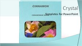  Presentation with herbal medicine healing herbs mortar - Slides having cinnamon-medicinal-herbs background and a  colored foreground