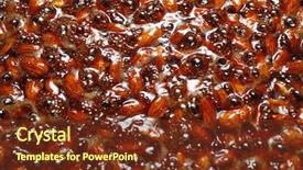  Presentation with almonds - PPT theme with cinnamon sugar cooking process top background and a tawny brown colored foreground