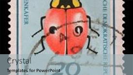  Presentation with issue - 