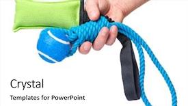  Presentation with hand cute dolls and toy - Audience pleasing presentation design consisting of blue green circle - hand holding dog toy backdrop and a white colored foreground