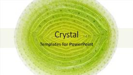  Presentation with circle - Beautiful presentation featuring circle cross-section of green backdrop and a gold colored foreground