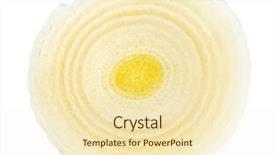  Presentation with white green - Beautiful theme featuring word drugs written in vintage backdrop and a  colored foreground.