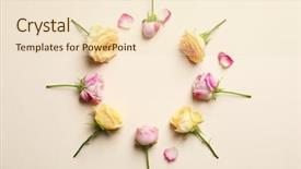  Presentation with roses - Amazing presentation design having circle frame made with roses backdrop and a lemonade colored foreground