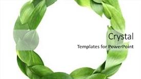  Presentation with beautiful green - Amazing PPT theme having circle life - beautiful green leaves isolated backdrop and a white colored foreground