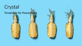  Presentation with copy space - Cool new presentation theme with circles rows - row of pieces of ripe backdrop and a arctic colored foreground