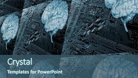  Presentation with brains - Colorful presentation theme enhanced with human brains against computers circuit backdrop and a ocean colored foreground