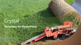  Presentation with carpet - Amazing PPT layouts having circular grass carpet cutting baling backdrop and a tawny brown colored foreground