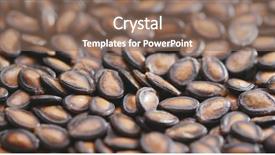  Presentation with melon - Slides enhanced with circular motion - stack of black melon seeds background and a violet colored foreground