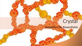  Presentation with circulatory system - Presentation design having circulatory system - isolated flower net background and a yellow colored foreground