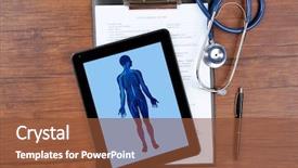  Presentation with circulatory system - PPT theme with circulatory system - medical picture on the tablet background and a tawny brown colored foreground