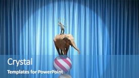  Presentation with circus - Audience pleasing presentation design consisting of circus animals performance mixed media backdrop and a teal colored foreground