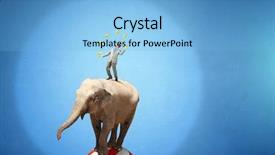  Presentation with circus - Audience pleasing presentation theme consisting of circus animals performance mixed media backdrop and a light blue colored foreground