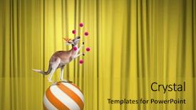  Presentation with circus - Slides with circus animals standing in stack and balancing on ball background and a gold colored foreground