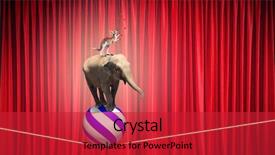  Presentation with circus - Beautiful theme featuring fun kangaroo - circus animals standing in stack backdrop and a red colored foreground