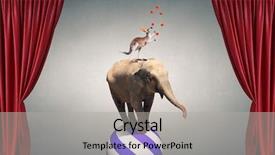  Presentation with circus - Slide set having circus animals standing in stack background and a light gray colored foreground