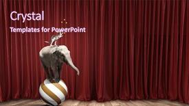  Presentation with circus - Cool new PPT theme with circus animals standing in stack and balancing on rope backdrop and a wine colored foreground