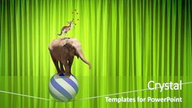  Presentation with circus - Colorful PPT layouts enhanced with circus animals standing in stack backdrop and a shamrock green colored foreground