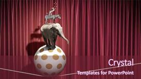  Presentation with circus - Theme having circus animals standing in stack and balancing on rope background and a tawny brown colored foreground
