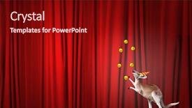  Presentation with juggling - Audience pleasing slide set consisting of circus kangaroo standing on ball backdrop and a wine colored foreground