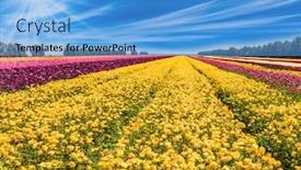  Presentation with rural tourism - Cool new theme with cirrus-clouds-fly-over backdrop and a teal colored foreground