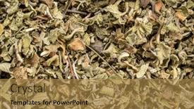  Presentation with digestive system - Presentation design featuring cistus-incanus-tea-also-know background and a gold colored foreground