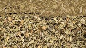  Presentation with digestive system - PPT layouts with cistus-incanus-tea-also-know background and a coral colored foreground