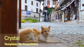  Presentation with cat - Presentation enhanced with citadel of ankara - ankara turk background and a tawny brown colored foreground