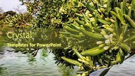  Presentation with parliament - Cool new presentation with citadel-park-parc-de-la backdrop and a tawny brown colored foreground