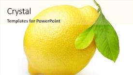  Presentation with scroll paper isolated on white - Presentation theme consisting of citrics - lemon isolated on white background background and a  colored foreground