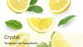  Presentation with tea leaves fresh green leaf - Cool new PPT layouts with citrics - set of fresh lemons backdrop and a blonde colored foreground