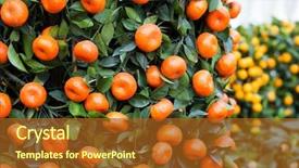  Presentation with citrus - Presentation design with citrus fruit for chinese new year background and a tawny brown colored foreground