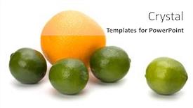  Presentation with citrus - 
