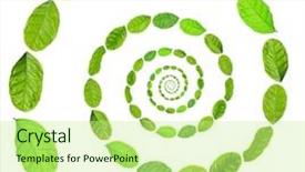  Presentation with green leaves - Cool new presentation theme with citrus leaves shaped as spiral backdrop and a  colored foreground