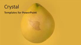  Presentation with turquoise and yellow - PPT theme enhanced with citrus maxima - fresh pomelo isolated on yellow background and a gold colored foreground