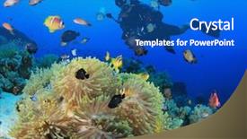  Presentation with underwater industry - Colorful slide set enhanced with city biodiversity - underwater photographer on scuba backdrop and a teal colored foreground