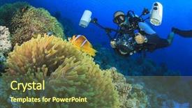  Presentation with scuba diving - Cool new theme with city biodiversity - underwater photographer scuba diving backdrop and a  colored foreground