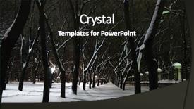  Presentation with park night city - Colorful theme enhanced with city park at night backdrop and a dark gray colored foreground