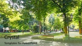  Presentation with green morning - PPT theme enhanced with city park bright sunlit green background and a seafoam green colored foreground